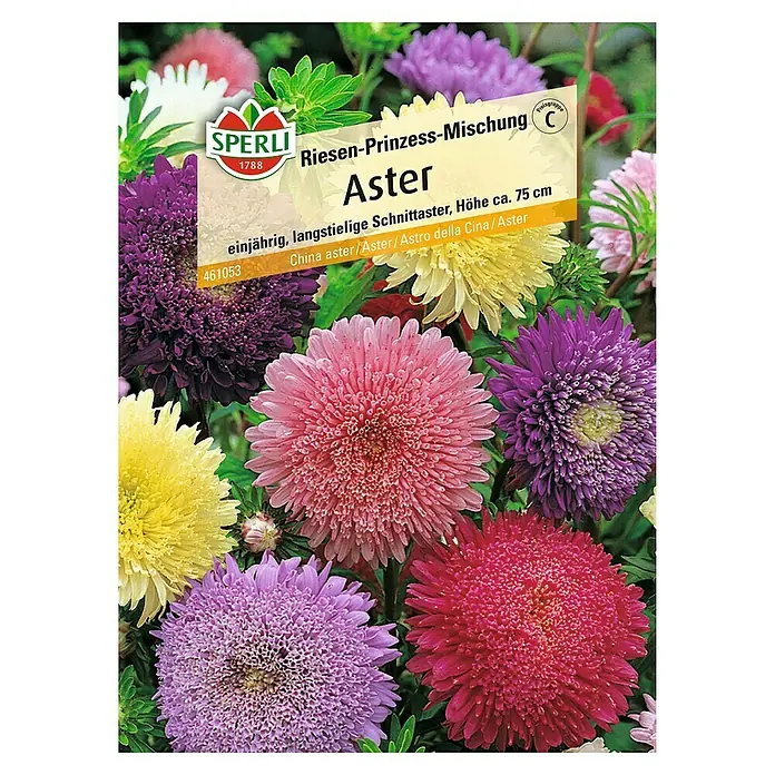 Sperli Blumensamen Aster - Riesen-Prinzess-Mischung, Callistephus chinensis, Blütezeit: August - SPERLI Riesen-Prinzess-Mischung Aster-Samen. Einjährige, langstielige Schnittaster-Mischung mit einer Höhe von ca. 75 cm für den Garten.