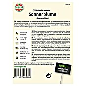 SONNENBLUME         AMERICAN GIANT