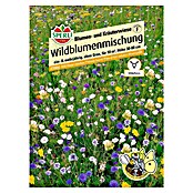 BLUMENMISCHUNG      BLUMEN-UND KRAEUTERW
