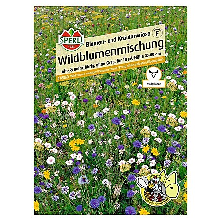 Sperli Blumensamen Wildblumenmischung (Verschiedene Sorten, Blütezeit: Juni, 10 m²)