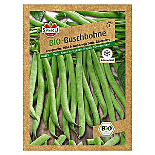 Sperli Gemüsesamen Buschbohne (Bio Gluckentyp, Phaseolus vulgaris var. nanus, Erntezeit: Juli)