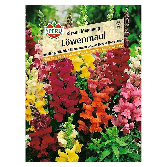 Sperli Blumensamen Löwenmäulchen - Riesen Mischung, Antirrhinum majus, Blütezeit: Juli - SPERLI Löwenmaul Riesige Mischung Samenpackung mit farbenprächtigen, einjährigen Löwenmäulchen, die bis zum Herbst blühen und eine Höhe von 90 cm erreichen.