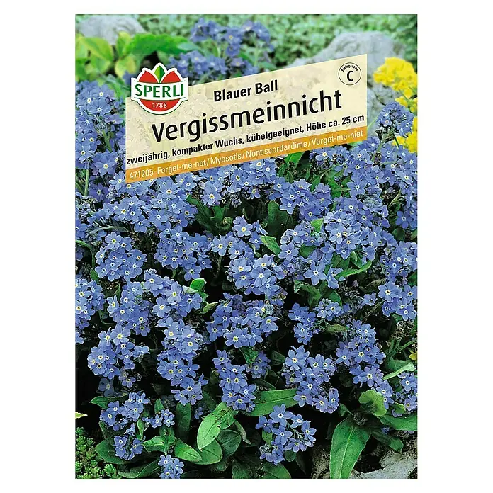 Sperli Blumensamen Vergissmeinnicht - Myosotis sylvatica, Blütezeit: März - Samenpackung 'Blauer Ball Vergissmeinnicht'. Zweijährige, kompakte Sorte mit leuchtend blauen Blüten, ideal für Kübel und Beete.