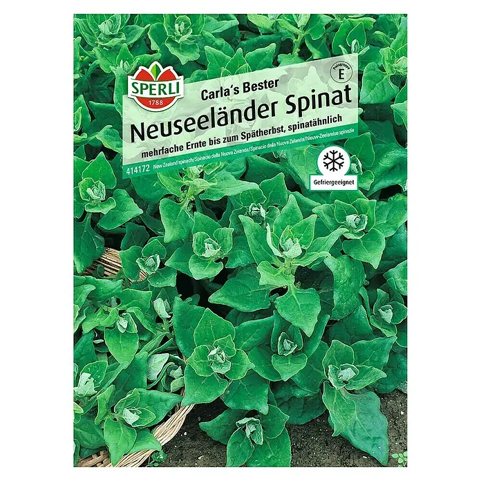 Sperli Gemüsesamen Spinat - Tetragonia tetragonioides, Erntezeit: Juli - Samenpackung Neuseeländer Spinat "Carla's Bester" von Sperli. Mehrfache Ernte bis zum Spätherbst, spinatähnlich und gefriergeeignet.