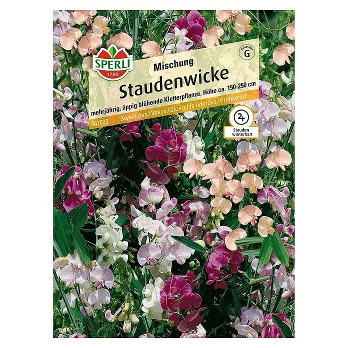 Sperli Blumensamen Staudenwicke - Lathyrus latifolius, Blütezeit: Juni - Samenpackung Staudenwicke Mischung von Sperli, mehrjährige, üppig blühende Kletterpflanze für den Garten.