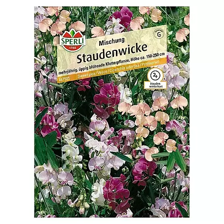 Sperli  Blumensamen Staudenwicke