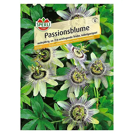 Sperli  Blumensamen Passionsblume