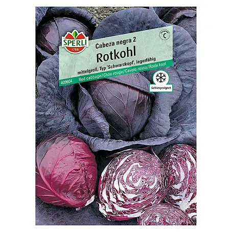 Sperli  Gemüsesamen Rotkohl