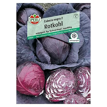Sperli  Gemüsesamen Rotkohl