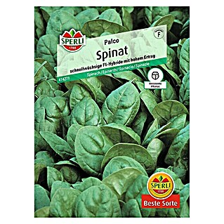 Sperli Gemüsesamen Spinat 'Palco' (Spinacia oleracea 'Palco', Erntezeit: September)