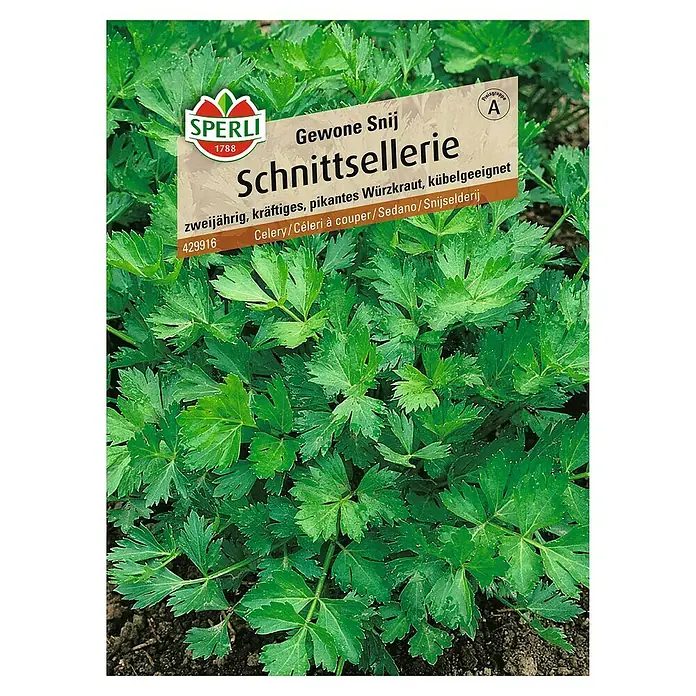 Sperli Kräutersamen Schnittsellerie - Apium graveolens, Erntezeit: Juli - Bild einer Samenpackung Schnittsellerie, einer zweijährigen, kräftigen und pikanten Würzkrautsorte, ideal für den Anbau im Kübel.