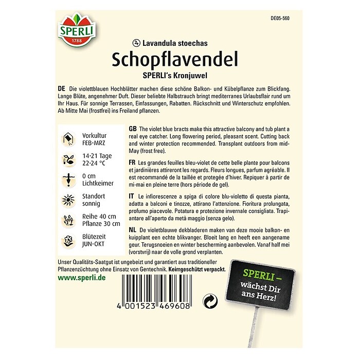SCHOPFLAVENDEL SPERLI´S KRONJUWEL