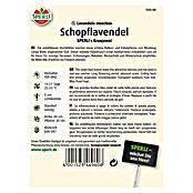 SCHOPFLAVENDEL SPERLI´S KRONJUWEL