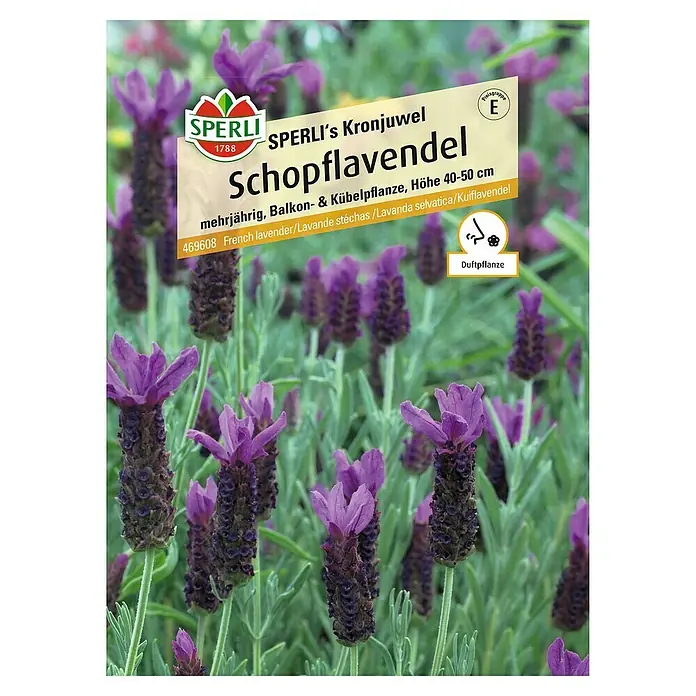 Sperli Blumensamen Schopflavendel - Linum grandiflorum - Abbildung einer SPERLI's Kronjuwel Schopflavendel-Packung, einer mehrjährigen, duftenden Balkon- & Kübelpflanze.