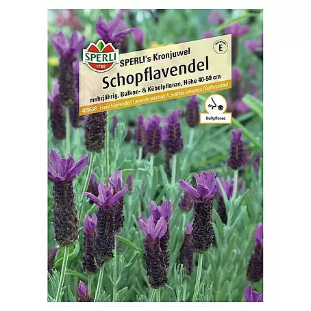 Sperli  Blumensamen Schopflavendel