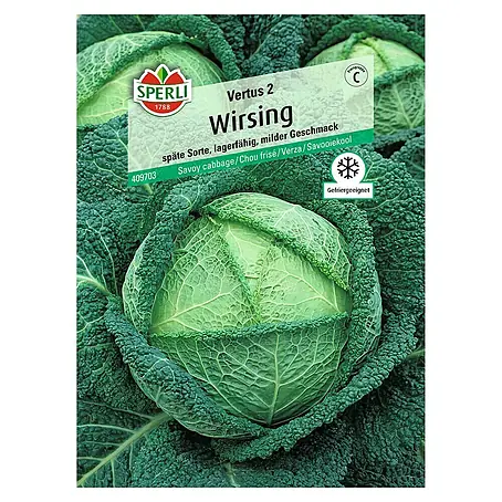 Sperli  Gemüsesamen Wirsing
