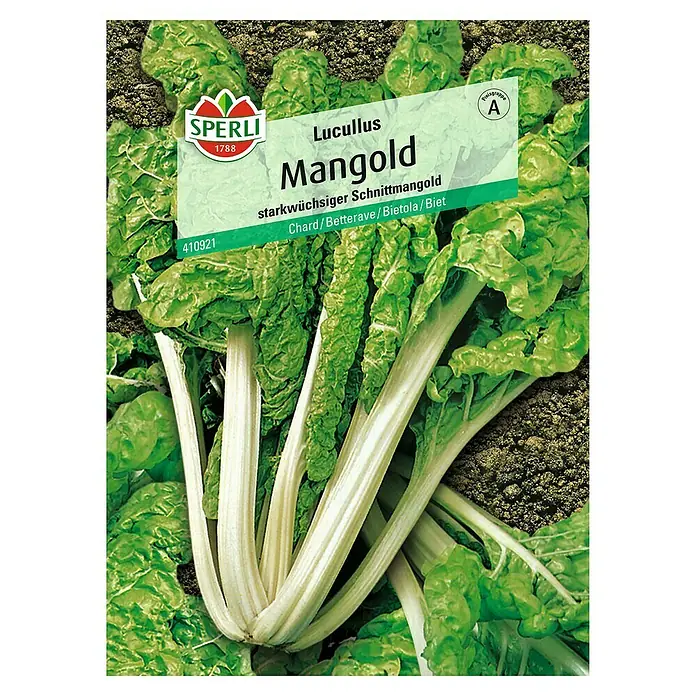 Sperli Gemüsesamen Mangold - Lucullus, Beta vulgaris, Erntezeit: Juni - Sämereipackung Lucullus Mangold von Sperli, einer starkwüchsigen Schnittmangoldsorte, ideal für den Anbau im eigenen Garten.
