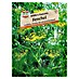 Sperli Gemüsesamen Fenchel 