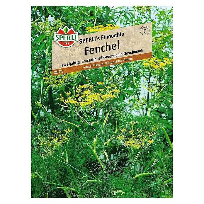 FENCHEL  SPERLI´S FINOCCHIO
