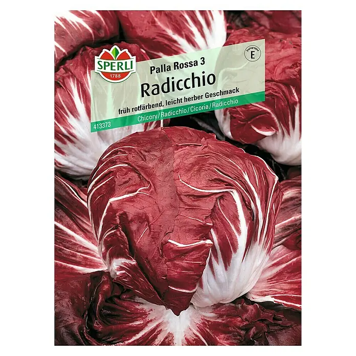Sperli Salatsamen Radicchio - Cichorium intybus, Erntezeit: September - Produktfoto von Radicchio Palla Rossa 3, einer italienischen Zichoriensorte mit rot-weißen Blättern und leicht bitterem Geschmack.