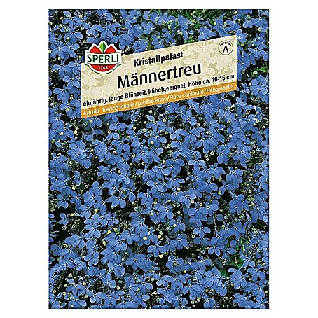 Sperli Blumensamen Männertreu (Lobelia erinus, Blau)