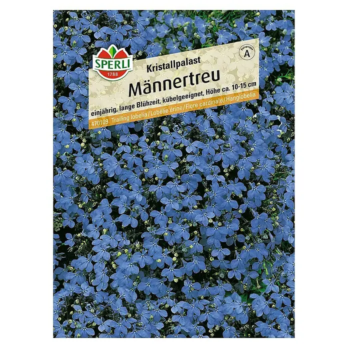 Sperli Blumensamen Männertreu - Lobelia erinus, Blau - Abbildung der Lobelia 'Männertreu Kristallpalast' von Sperli, einjährige, lange Blütezeit, Höhe ca. 10-15 cm.
