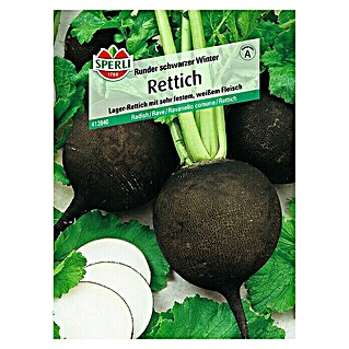 Sperli Gemüsesamen Rettich (Runder schwarzer, Raphanus sativus, Erntezeit: August)