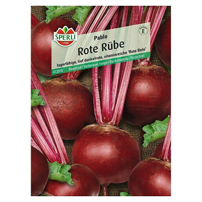 ROTE RÜBE PABLO