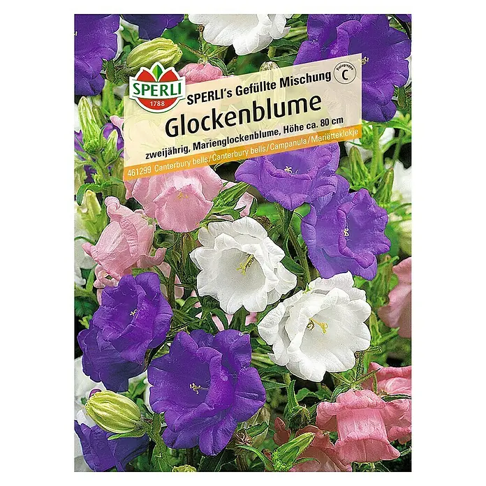 Sperli Blumensamen Glockenblume - Centaurea cyanus, Mehrfarbig - SPERLI's gefüllte Glockenblume Mischung mit Canterbury Bells in Weiß, Rosa und Lila.