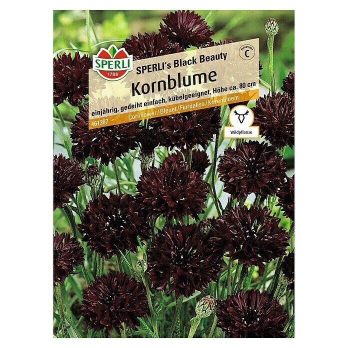 Sperli Blumensamen Kornblume (Centaurea cyanus, Schwarz) | BAUHAUS