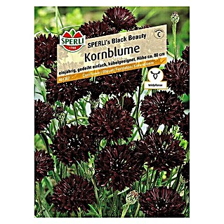 Sperli Blumensamen Kornblume (Centaurea cyanus, Schwarz)