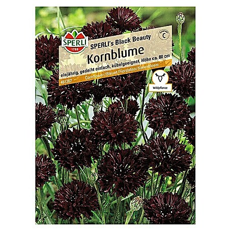 Sperli Blumensamen Kornblume (Centaurea cyanus, Schwarz)
