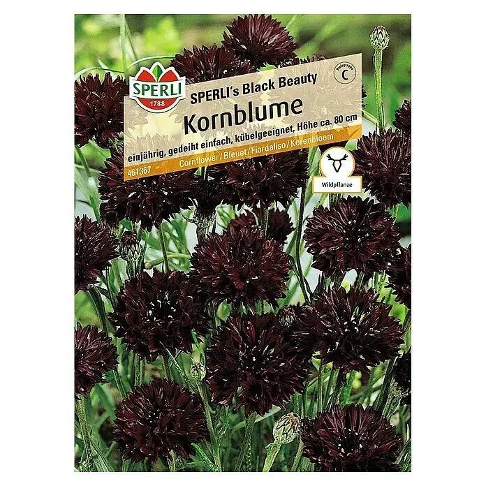Sperli Blumensamen Kornblume - Centaurea cyanus, Schwarz - Vorderansicht