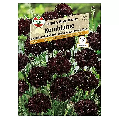 Sperli  Blumensamen Kornblume