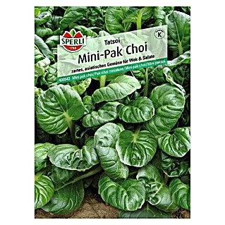 Sperli Gemüsesamen Pak Choi (Brassica campestris, Erntezeit: August - Oktober)