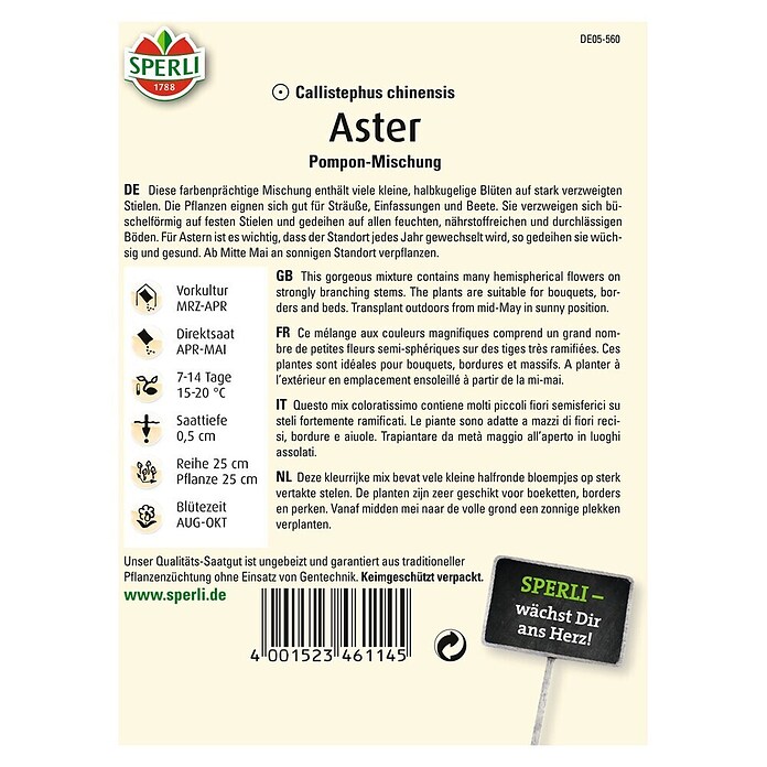 ASTER POMPON MISCHUNG
