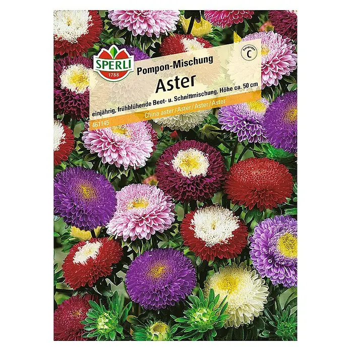 Sperli Blumensamen Aster - Pompon Mischung, Campanula medium, Blütezeit: August - Samenpackung Pompon-Mischung Aster. Einjährige, frühblühende Beet- und Schnittmischung, die mit farbenprächtigen Astern überzeugt. Höhe ca. 50 cm.