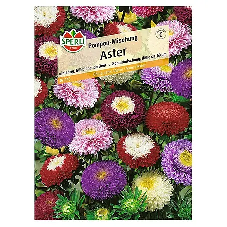 Sperli  Blumensamen Aster