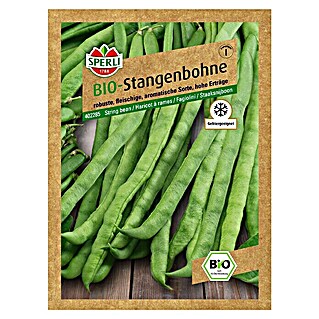 Sperli Gemüsesamen Stangenbohne (Bio, Phaseolus vulgaris, Erntezeit: Juli)