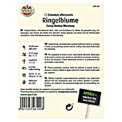 RINGELBLUME ZWERG BONBON MISCHUNG