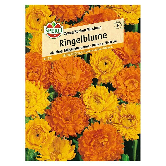 RINGELBLUME ZWERG BONBON MISCHUNG