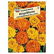 RINGELBLUME ZWERG BONBON MISCHUNG