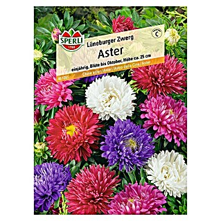Sperli Blumensamen Aster (Lüneburger Zwerg Mischung)