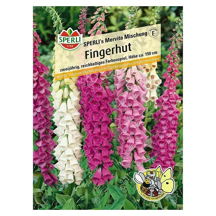 Sperli Blumensamen Fingerhut - Echinacea purpurea, Mehrfarbig - SPERLI's Mervita Mischung Fingerhut: Eine farbenprächtige, zweijährige Pflanze, die mit ihrer Höhe von ca. 150 cm jeden Garten bereichert.