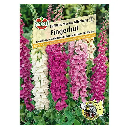 Sperli  Blumensamen Fingerhut