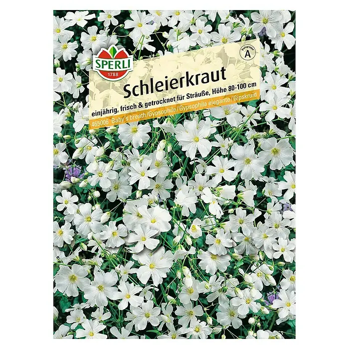 Sperli Blumensamen Schleierkraut - Gypsophila, Saatzeit: März - Bild einer Samenpackung Schleierkraut, einjährig, geeignet für Sträuße mit einer Höhe von 80-100 cm.