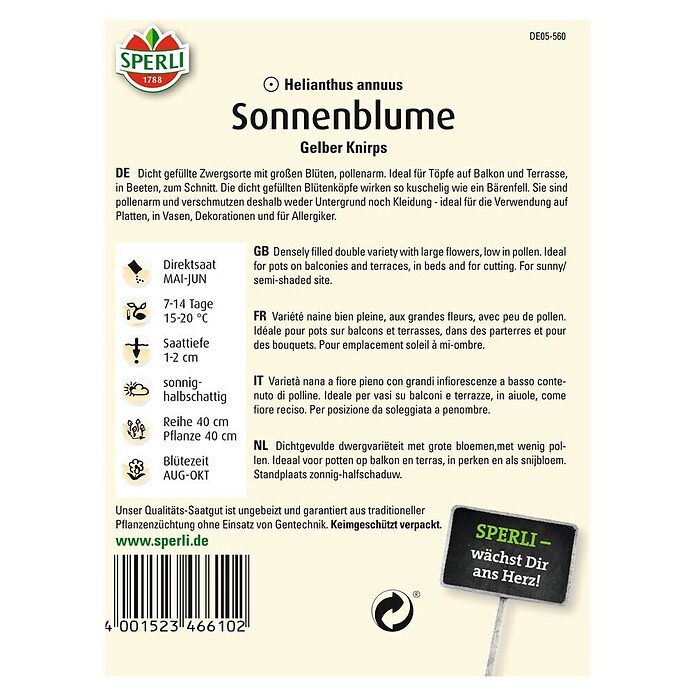 SONNENBLUME GELBER KNIRPS