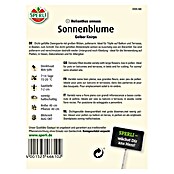 SONNENBLUME GELBER KNIRPS