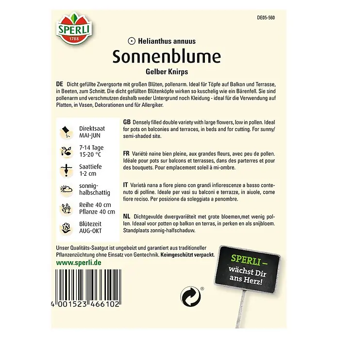 Sperli Blumensamen Sonnenblume - Gelber Knirps, Helianthus annuus, Blütezeit: August - Sonnenblumen-Samen "Gelber Knirps" von Sperli: Eine dicht gefüllte Zwergsorte mit grossen, pollenarmen Blüten, ideal für Töpfe, Balkone und zum Schnitt.