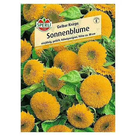 Sperli  Blumensamen Sonnenblume